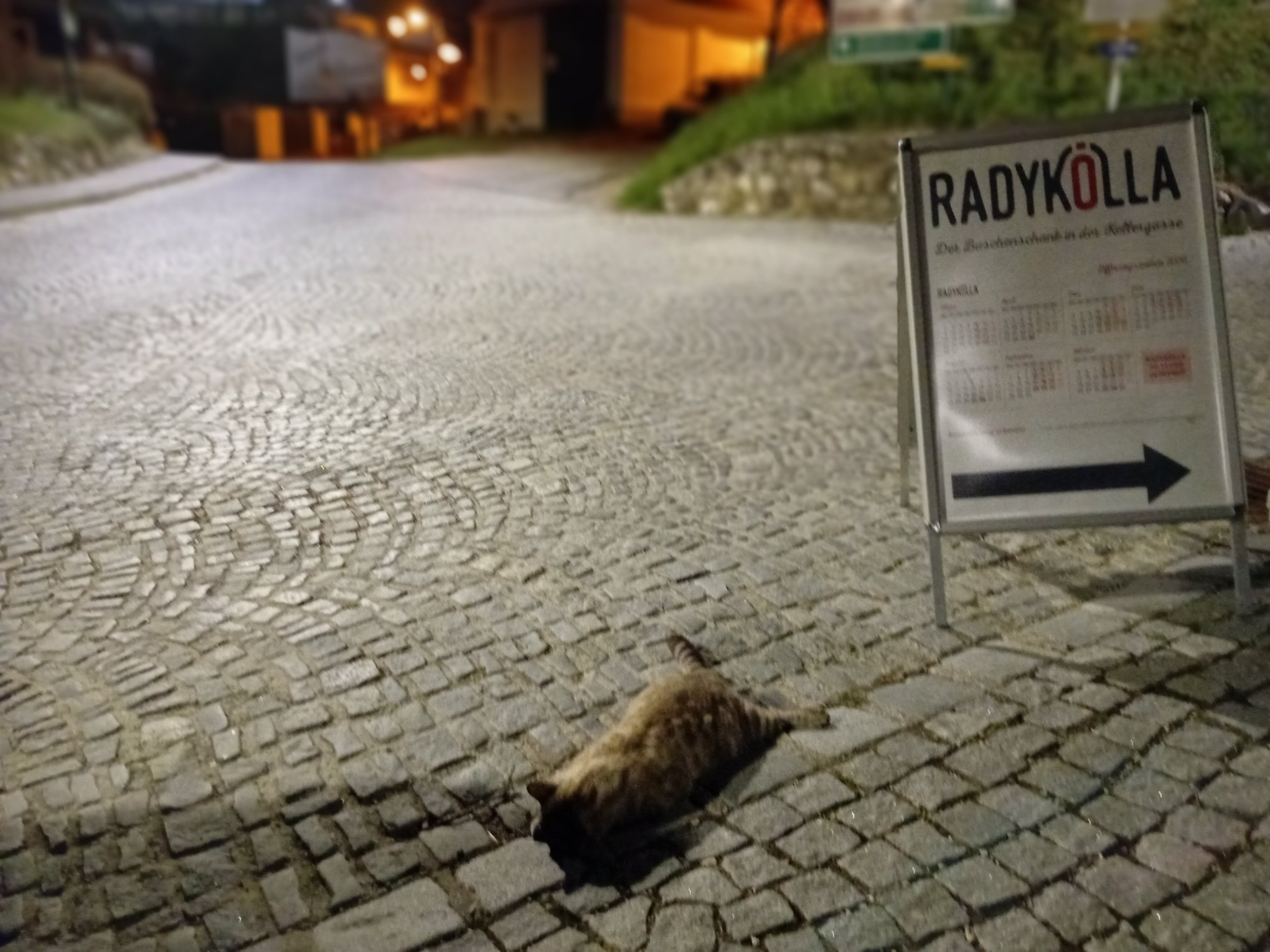 Radyweg tote Katze