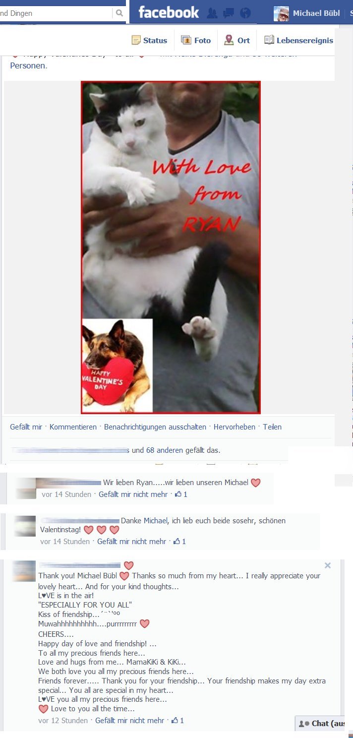 Facebook,Tierschutz